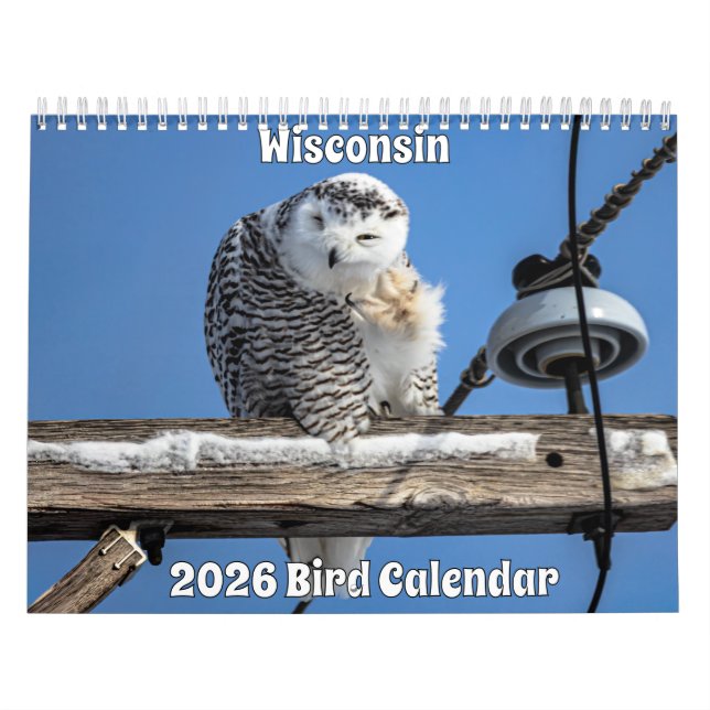 Calendario de Aves de Wisconsin 2026 (Tapa)