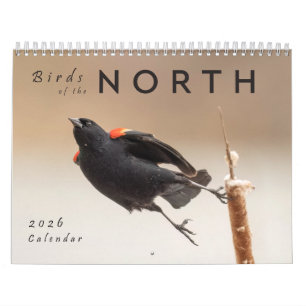 Calendario de aves del norte de 2026: Grandes Lago