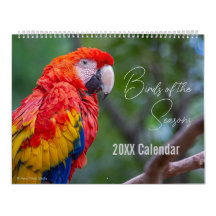Calendario de Aves Elija su Mes / Año de Inicio