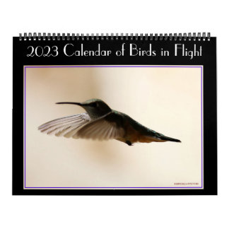Calendario de aves en vuelo 2020