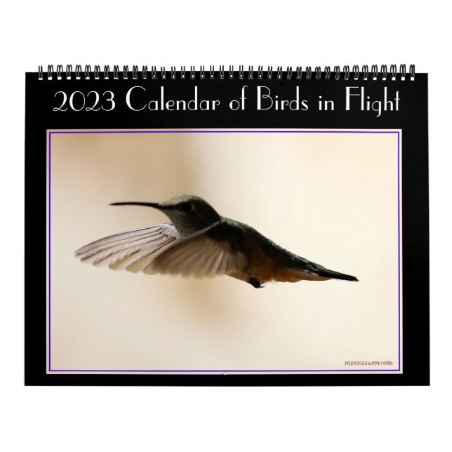 Calendario de aves en vuelo 2020 (Tapa)