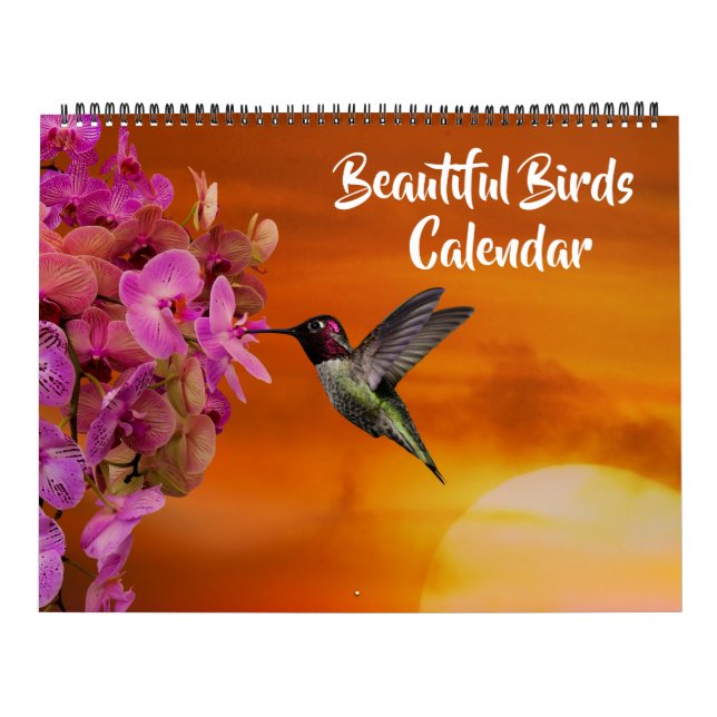Calendario de Aves Hermosas de Gran Tamaño (Tapa)