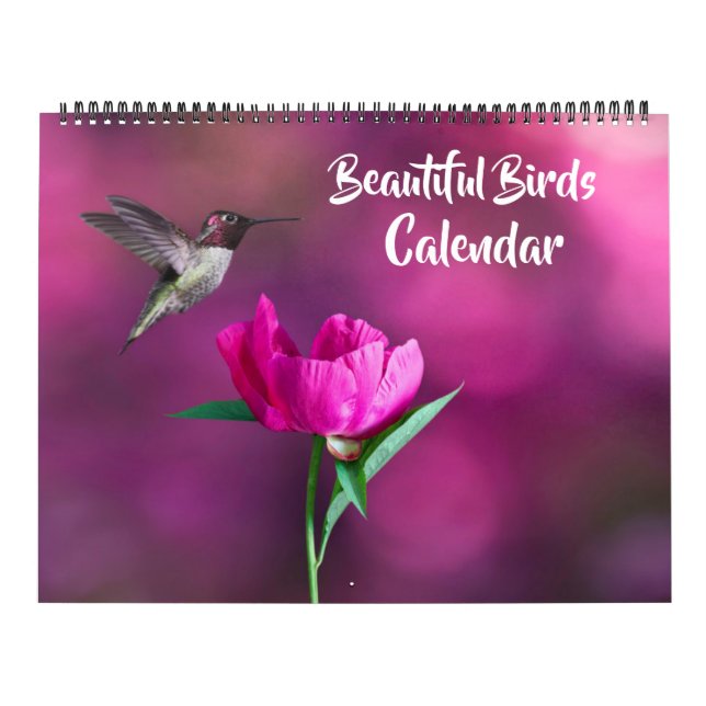 Calendario de Aves Hermosas de Gran Tamaño (Tapa)
