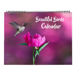 Calendario de Aves Hermosas de Gran Tamaño