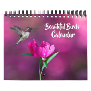 Calendario de Aves Hermosas de Pequeño Tamaño