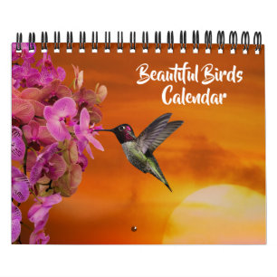 Calendario de Aves Hermosas de Tamaño Pequeño