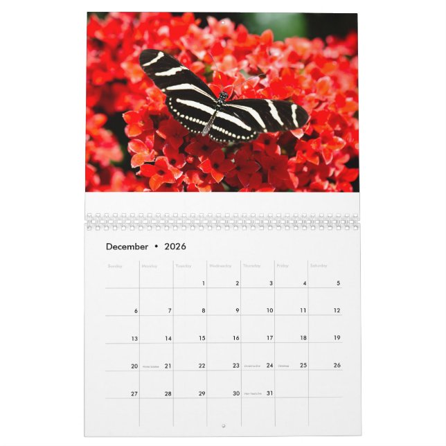Calendario de aves, mariposas y flores (Dec 2026)