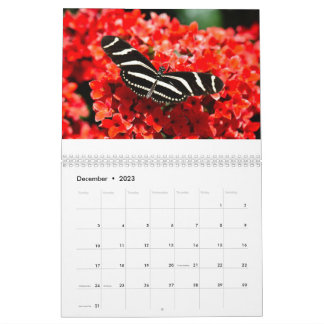 Calendario de aves, mariposas y flores