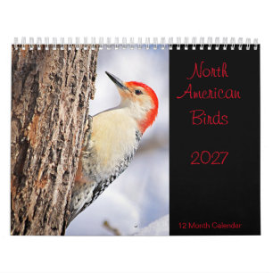 Calendario de Aves Norteamericanas 2027
