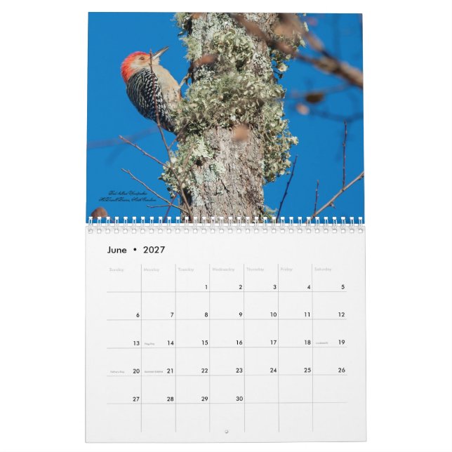 Calendario de aves para pájaros carpinteros de 202 (Jun 2027)