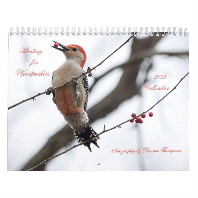 Calendario de aves para pájaros carpinteros de 202 (Tapa)
