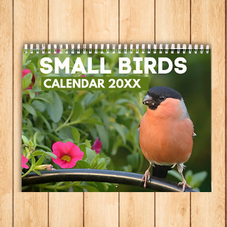 Calendario de aves pequeñas 2025