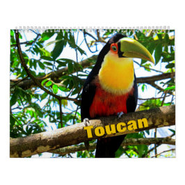 Calendario de Aves Turcas