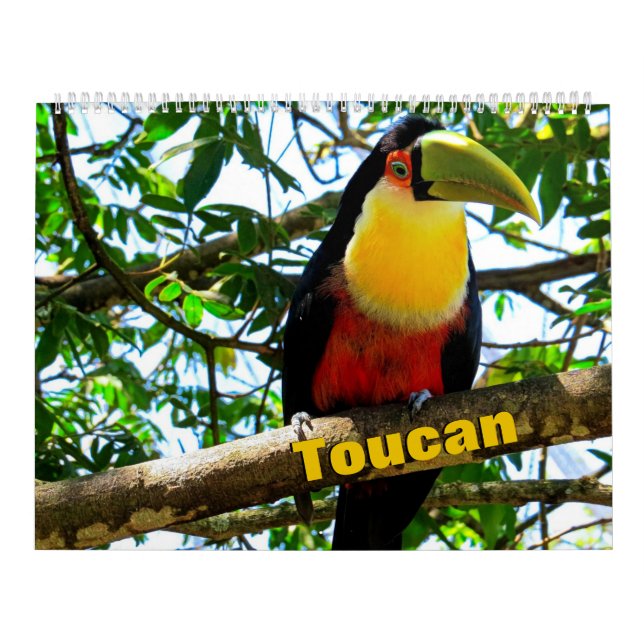 Calendario de Aves Turcas (Tapa)