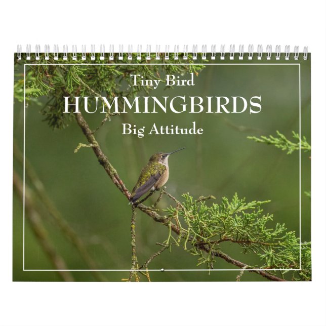 Calendario de avifauna de aves pequeñas (Tapa)