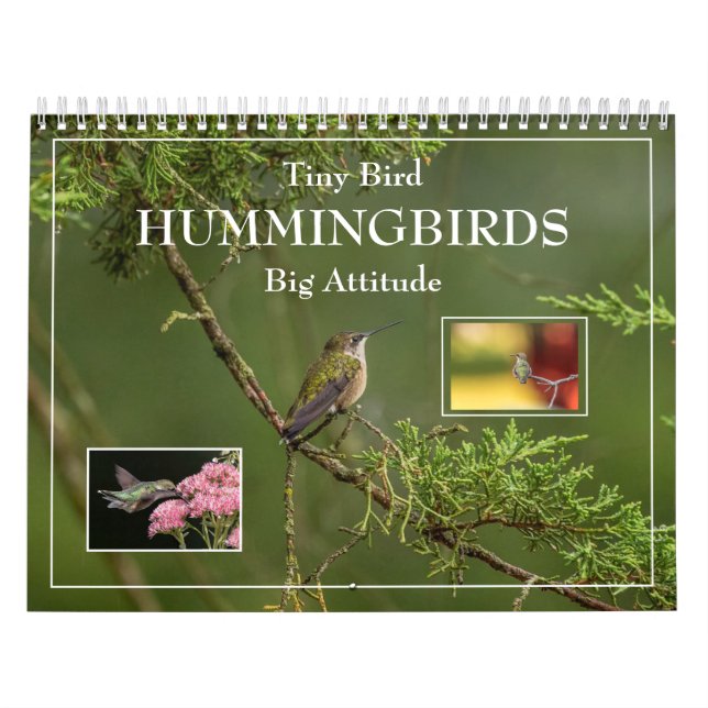 Calendario de avifauna de aves pequeñas (Tapa)