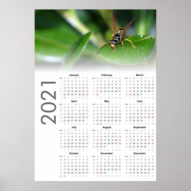 Calendario de avispa 2021 Póster - inicio domingo (Frente)