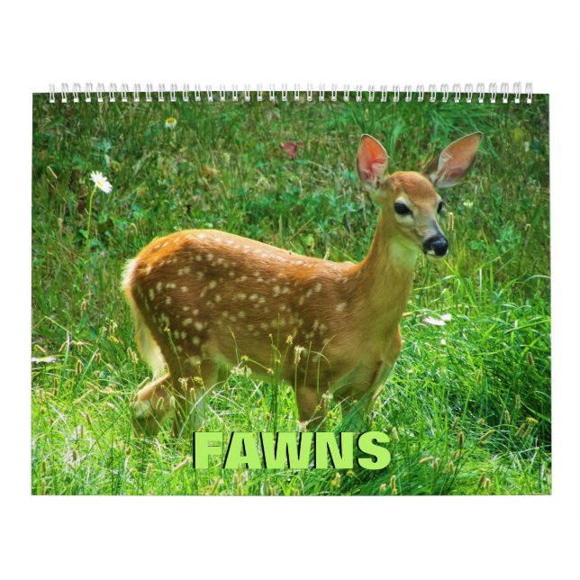 Calendario de awns (Tapa)