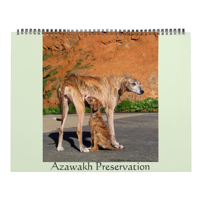 CALENDARIO DE AZAWAKH 2016 (Tapa)