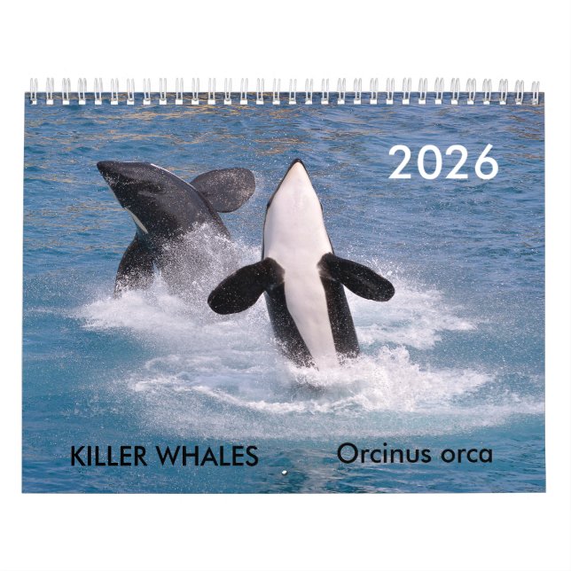 Calendario de ballenas asesinas (Tapa)