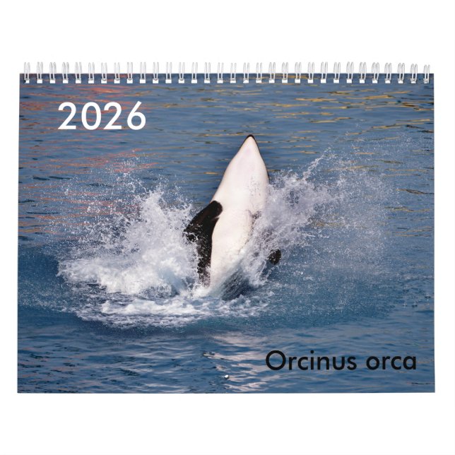 Calendario de ballenas asesinas (Tapa)