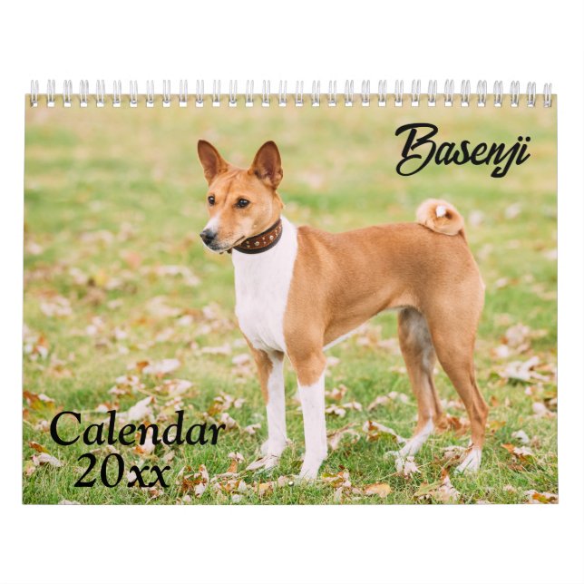 Calendario de Basenji 2026 (Tapa)