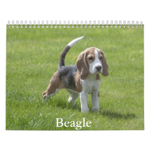 Calendario de Beagle