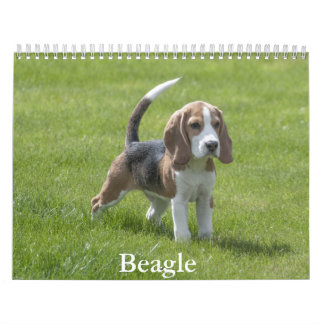 Calendario de Beagle