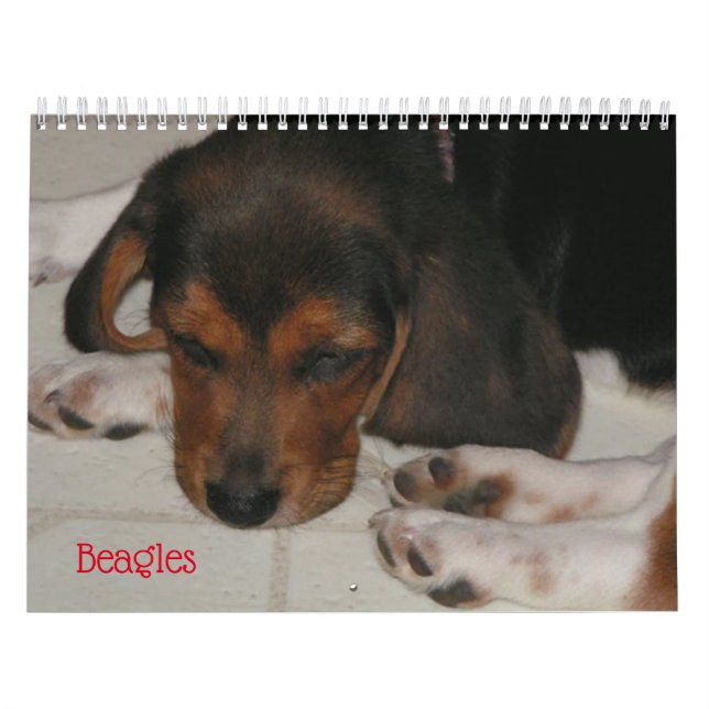 Calendario de Beagle Lover (Tapa)