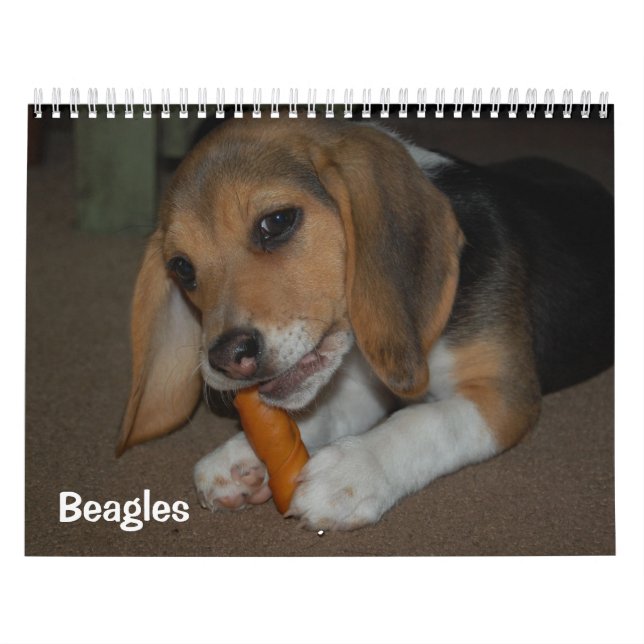 Calendario de Beagles (Tapa)