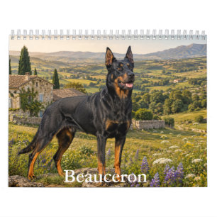 Calendario de Beauceron