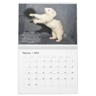 Calendario de beneficios de rescate de ferret