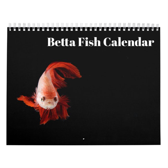 Calendario de Bettafish 2025 (Tapa)