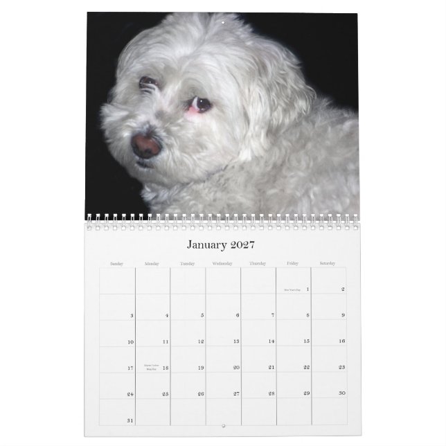 Calendario de Bichon Frisé (Jan 2027)