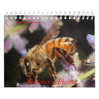 Calendario de Bichos y Flores