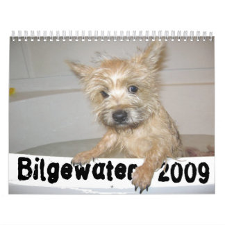 Calendario de Bilgewater