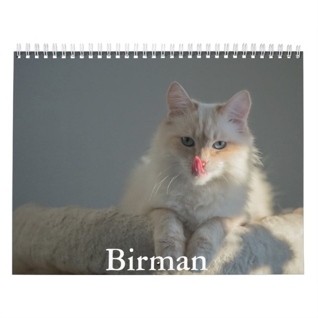 Calendario de Birman (Tapa)