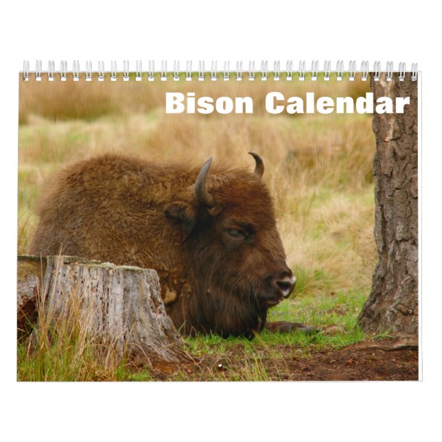 Calendario de Bison Buffalo 2027 (Tapa)