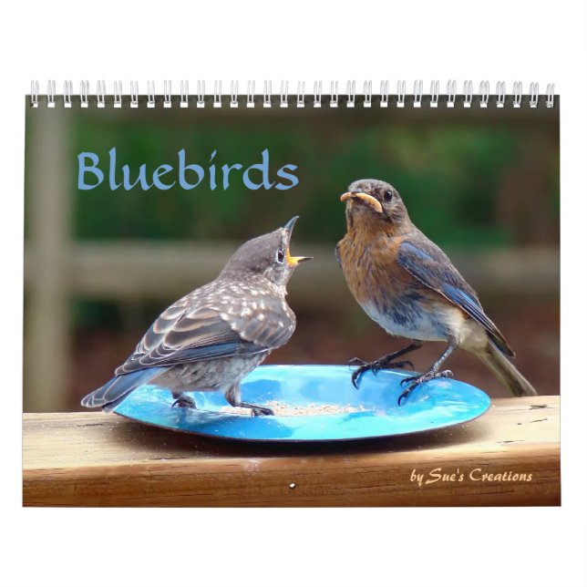 Calendario de Bluebirds (Tapa)