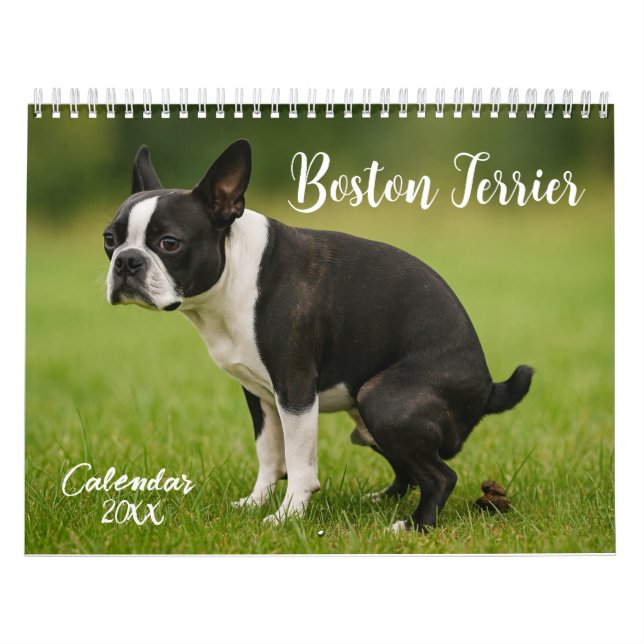 Calendario de Boston Terrier 2026 (Tapa)