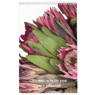 Calendario de Bouquet Protea