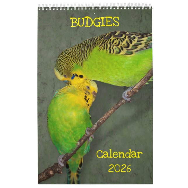 Calendario de Budgies (Tapa)