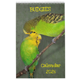 Calendario de Budgies