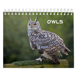 Calendario de Búhos