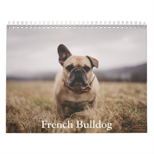 Calendario de Bulldog francés (Tapa)
