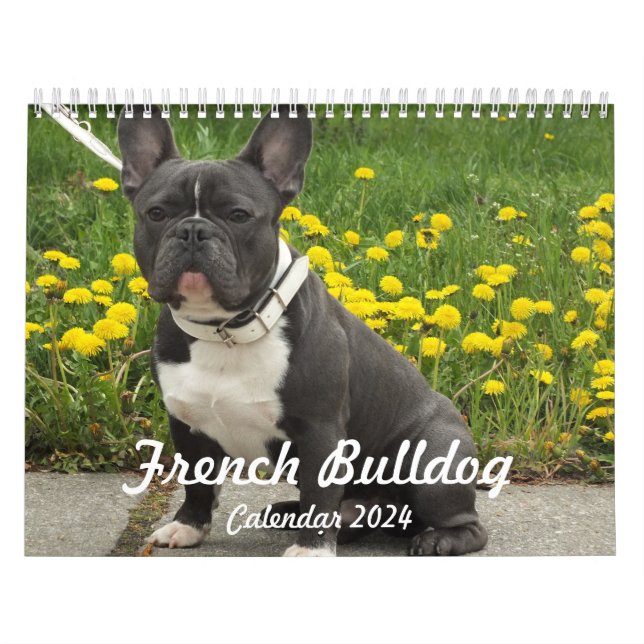 Calendario de Bulldog francés 2024 Añadir tus foto (Tapa)