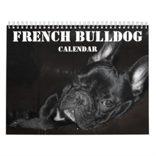 Calendario de Bulldog francés 2025 con fotos