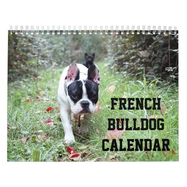 Calendario de Bulldog francés con tus fotos (Tapa)