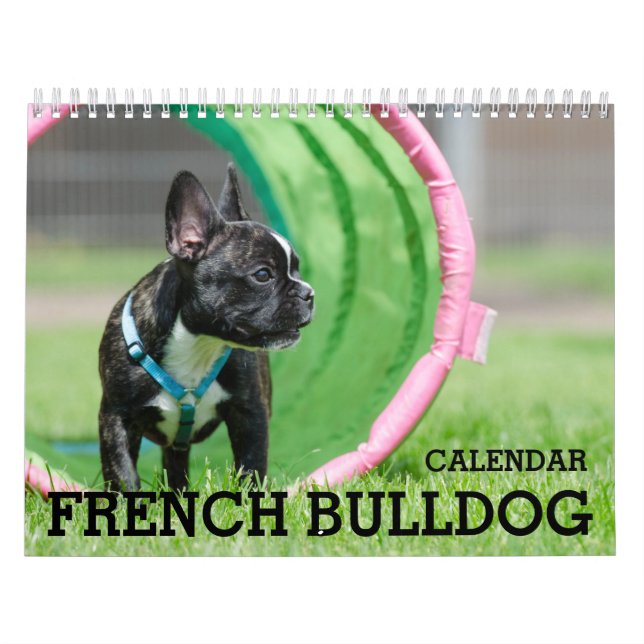 Calendario de Bulldoges de Francia 2026 (Tapa)