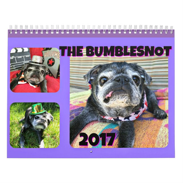 Calendario de Bumblesnot 2017 (Tapa)